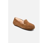 UGG - W ANSLEY Marrone - Pantofole 39 Marrone