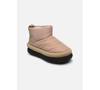 UGG WMNS CLASSIC MAXI MINI women Boots beige in taglia:38
