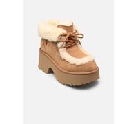 UGG - W Esmee Lace Up Marrone - Stivaletti e tronchetti 39 Marrone