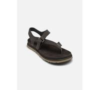UGG - W Goldengaze Toe Post Marrone - Sandali e scarpe aperte 40 Marrone