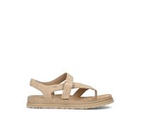 UGG W GOLDENGAZE TOE POST Sandalo donna mustard seed in suede 37