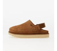 UGG W Goldenstar Clog Chestnut 7