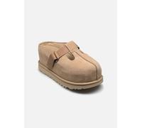UGG - W Goldenstar Hi Clog Beige - Zoccoli 36 Beige