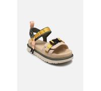 UGG - W Goldenstar Wildwood Beige - Sandali e scarpe aperte 42 Beige