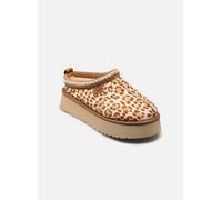 UGG W TAZZ PLAINS women Sandals & Slides brown in taglia:38