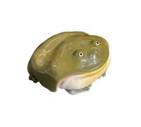 Ugly Frog Handmade Earphone Case for Airpod 4 Cute Funny Protective Cover Gift for Friends