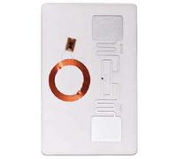 UHF + ID UHF Passivo a lunga distanza doppia frequenza scheda 100 PZ