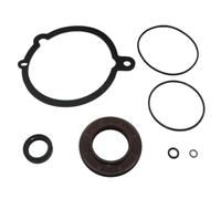 UHSTJW Kit di guarnizioni di Riparazione per Giunto a U e Supporto del Cuscinetto 3862105 Compatibile con Penta XDP 3852272 853868