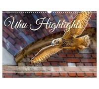 Uhu Highlights (Wandkalender 2026 DIN A3 quer), CALVENDO Monatskalender: Highlights aus dem Leben junger Uhus