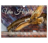 Uhu Highlights (Wandkalender 2026 DIN A4 quer), CALVENDO Monatskalender: Highlights aus dem Leben junger Uhus