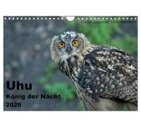Uhu - König der Nacht (Wandkalender 2026 DIN A4 quer), CALVENDO Monatskalender: Dieser Kalender gibt einen eindrucksvollgen Einblick in die heimliche Welt der größten Eule der Welt