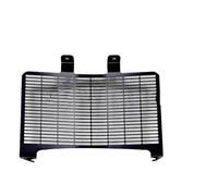 UIBHGVFG Radiatori Moto Protezione Radiatore Nera per P&an Am&Erica 1250 per Special RA1250S RA1250 2021 2022 Griglia per Moto Protezione Radiatore