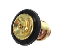 UidEdMVp Termostato for Motore fuoribordo a Tempi 60 CV F60A F60C F60F 60 CV 6D9-12411-00 6D9-12411