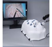 UIGJIOG Human Abdominal Simulator,Simulatore di Box per Trainer Laparoscopico Box per Trainer Laparoscopia Training Laparoscopico 4 Strumenti Chirurgici 5 Moduli di Formazione