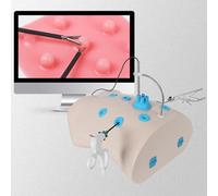 UIGJIOG Laparoscopia Moduli di Addestramento del Simulatore di Chirurgia Laparoscopica cavità Addominale Modello di Pratica del Torace per Studenti di Medicina E Addestramento Clinico Modello