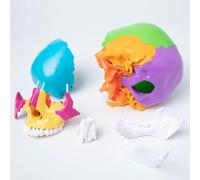 UIGJIOG Mini Modello di Cranio Umano Smontabile A Colori Modello di Cranio Umano di 22 Pezzi Modello Anatomico Professionale di Cranio Umano Modello di Cranio con Anatomia Esplosa