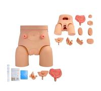 UIGJIOG Modello di catetere uretrale Modello di cateterismo Maschio Femmina Intercambiabile, Pratica Infermieristica Catetere uretrale urinario Manichini Modello di catetere didattico in PVC