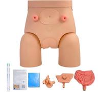 UIGJIOG Modello di cateterismo Maschio-Femmina Intercambiabile per Studenti Infermieri Kit simulatore di cateterismo Modello di catetere uretrale