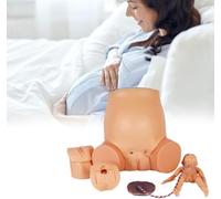 UIGJIOG Modello di Parte Inferiore del Corpo materno Modello del cordone ombelicale fetale Modello avanzato per la visualizzazione della Gravidanza Simulatore di Parto Standard materno