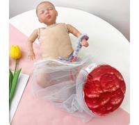 UIGJIOG Modello di Placenta Modello Parto Femminile Modello Allenamento Ostetrico Simulazione Dinamica Parto Bambino e Bacino Separabili con Cordone Ombelicale per Insegnamento di Ginecologia