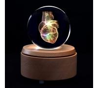 UIGJIOG Palla di Vetro di Cristallo Cuore Umano Modello Anatomico 3D Fermacarte Inciso al Laser in Palla di Vetro di Cristallo Strumento Didattico per La Scienza Base Inclusa