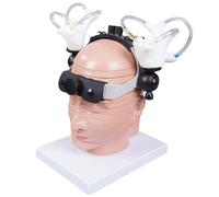 UIHECTA Modello Didattico dei Canali Semicircolari e Coclea, Modello di Coclea dell'Orecchio Interno Ingrandito 5 Volte, Struttura Chiara Ideale per Studio Anatomico,Bianca,Head Mounted