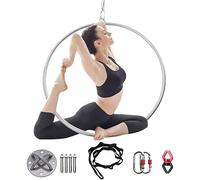 UIHECTA Set di Cerchi Aerei, Attrezzatura Aerea Professionale per Lyra Hoop, Kit Cerchio Aereo Lyra, Attrezzatura per Anelli Aerei A Punto Singolo, per Studio Danza, Pratica Casa,001,Diameter 85cm