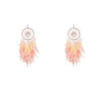 Uikdjgu 2X Acchiappasogni Decorazioni per Ornamenti da Appendere Luci Un LED Fatte Un Mano Cristalli Curativi con Piume Rosa Acchiappasogni per la Decorazione della Parete di Casa