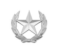 uikios Elegante grano e stella emblemi spilla in lega vintage pin grano stella spilla pin per abbigliamento accessori risvolto decorazioni, Grande, Metallo
