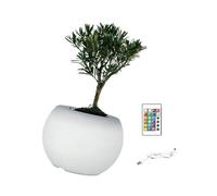 uikios Vasi da fiori multicolore a LED per piante grasse Modelli di colore regolabili Strumento di giardinaggio per interni Fioriera di colore regolabile con luce