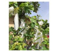 UIYdrhDCG Rete di Protezione per Frutta, Sacchetto barriera in Tessuto Non for UVA da Giardino