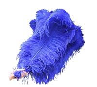 UJEDFHV Ventagli di Piume per Danza 10 pz/Lotto Eleganti Piume Naturali 50-55 cm for Artigianato Matrimonio Festa Forniture Carnevale Ballerino Decorazione piumaggi(RoyalBlue)
