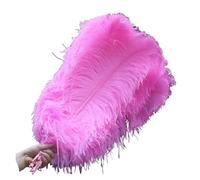 UJEDFHV Ventagli di Piume per Danza 10 pz/Lotto Eleganti Piume Naturali 50-55 cm for Artigianato Matrimonio Festa Forniture Carnevale Ballerino Decorazione piumaggi(Pink Colour)