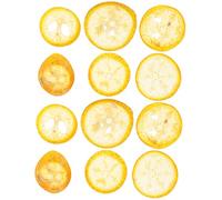UKCOCO 12 Pezzi Fette di Arancia Secca Essiccata per Decorazioni Fatte a Mano, Materiale Vegetale Naturale, Colore Arancia, per Artigianato e Creazioni DIY
