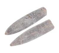 UKCOCO 2 pezzi Belemnite Specimen Naturale per Studio Geologia e Paleontologia Epifaunal Fossile Autentico per Educazione e Decorazione Hotel
