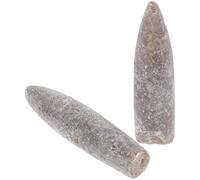 UKCOCO 2 Pezzi Specimen Fossile Naturale Belemnite per Studio Paleontologia e Geologia Modelli Epifaunali Educativi Campioni Minerali per Laboratorio Scienze Terra e Didattica