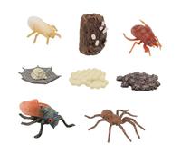 UKCOCO 2sets Modelli Ciclo Di Crescita Insetti in Plastica Per Ragazzo Ragazza Ragazza Giochi Educativi Per Cognizione e Apprendimento Figure Sicure e Resistenti Dei Cicli Di Vita Di Ragn