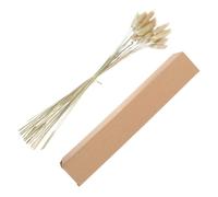 UKCOCO 30 Pezzi Decorazione Naturale Erba Secca Coda di Coniglio Khaki per Composizioni Floreali e Arredamento Casa Lavorazione Fine e Stile Realistico