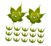 UKCOCO 60 Pezzi Base per Composizioni Floreali da Te Accessori per Bouquet Rose Stabile e per Decorazioni Matrimoni e Casa