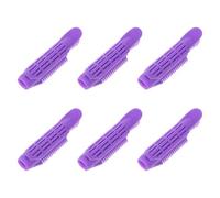 UKCOCO Clip Volumizzanti per Chioma Porpora 6 Pezzi in Abs per Styling Chioma e Radice Volumizzante, Accessori Portatili per Acconciature Madre e Figlia