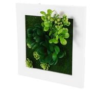 UKCOCO Cornice da Parete Piante Grasse Artificiali Verdi in Plastica, Decorazione Minimalista la Casa Facile Manutenzione e Alta Fedeltà, per Arredamento Murale