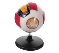 UKCOCO di Occhio Ingrandito in Plastica Anatomia Dettagliata Strati per Studio Didattico di Oculare Staccabile per Insegnamento Medico e Scuole Secondarie