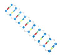 UKCOCO Dna Doppia Educativo Kit Scientifico per Studio Biologia Didattica con Componenti Resistenti e Autoassemblanti per Scuola e Casa