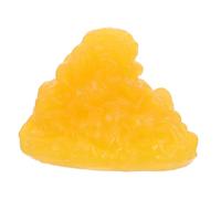 UKCOCO Modello di Grasso in Tpe Realistico per Insegnamento e Dimostrazione in Nutrizione e Simulazione di Adiposo per Studenti e Professionisti