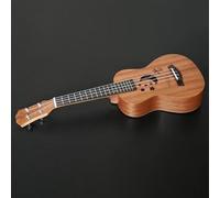 Ukulele Elettrico Acustico Da 21 Pollici A 4 Corde Per Chitarra, Corpo In Legno Di Sapele, Tastiera In Palissandro, Ukulele Ukulele Kit (Color : Acoustic)