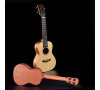 Ukulele per principianti Tutti i singoli strumenti a quattro corde per principianti professionali di Ukulele classico(21 inch)