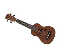 Ukulele professionale Ukulele Treble Modello Da 21 Pollici Ukulele 4 Corde In Nylon Mini Chitarra Hawaii Tastiera In Palissandro Ukulele Musica