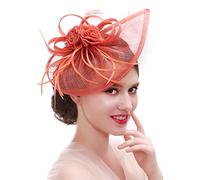 Ulalaza Fascinators per Capelli da Donna Cappello da Cocktail da Sposa in Piuma da Sposa Cocktail Derby Church Banquet for Girls