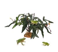 ulapithi Piante per Terrario Rettili - Decorazioni Verdi Realistiche Artificiali | Decorazione Verde per Vasca Tartarughe,per Pesci Tartarughe Betta Gechi Camaleonti Rane Anfibi