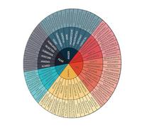 ULDIGI Adesivo Ruota dei Sentimenti Autoadesivo per Laptop e Cameretta Decorazione Educativa per Design Circolare Vivace Supporto allo Sviluppo Affettivo e Spazio Positivo in Aula